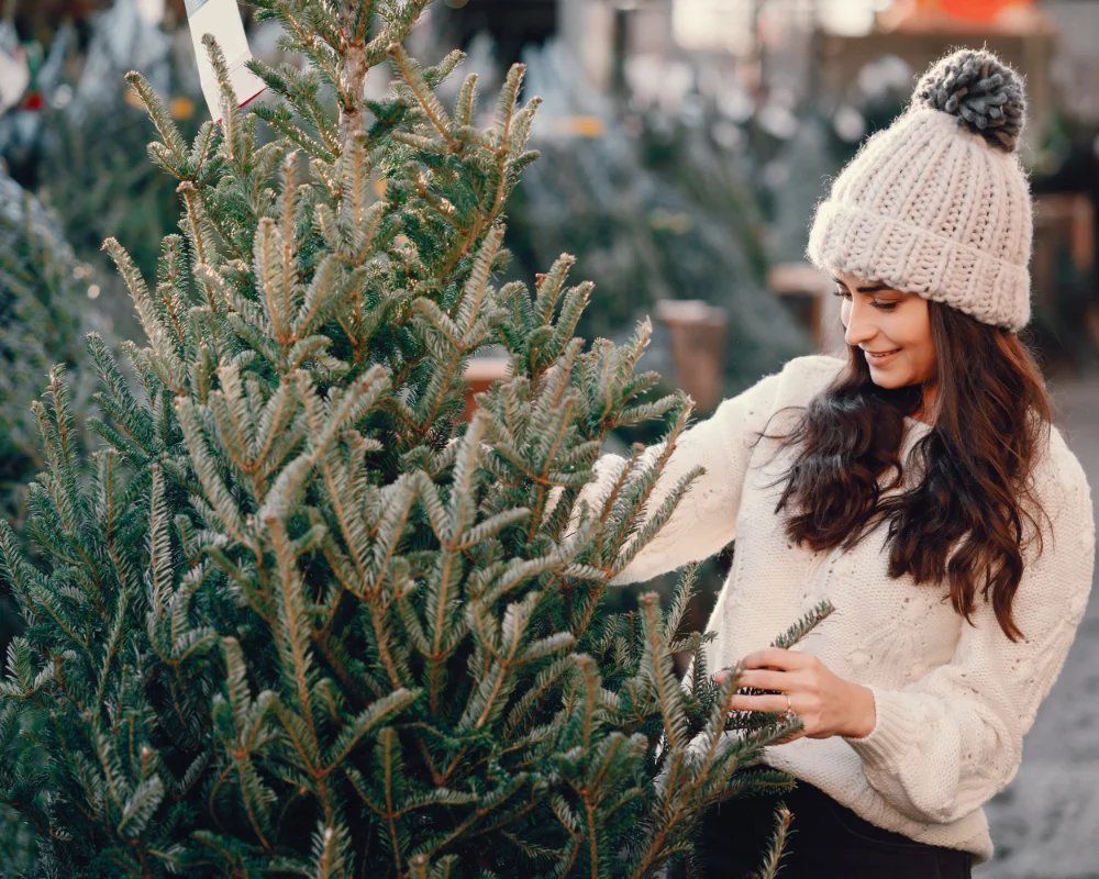 Eine Christbaum Kundin wählt Ihren Baum zum Kauf aus